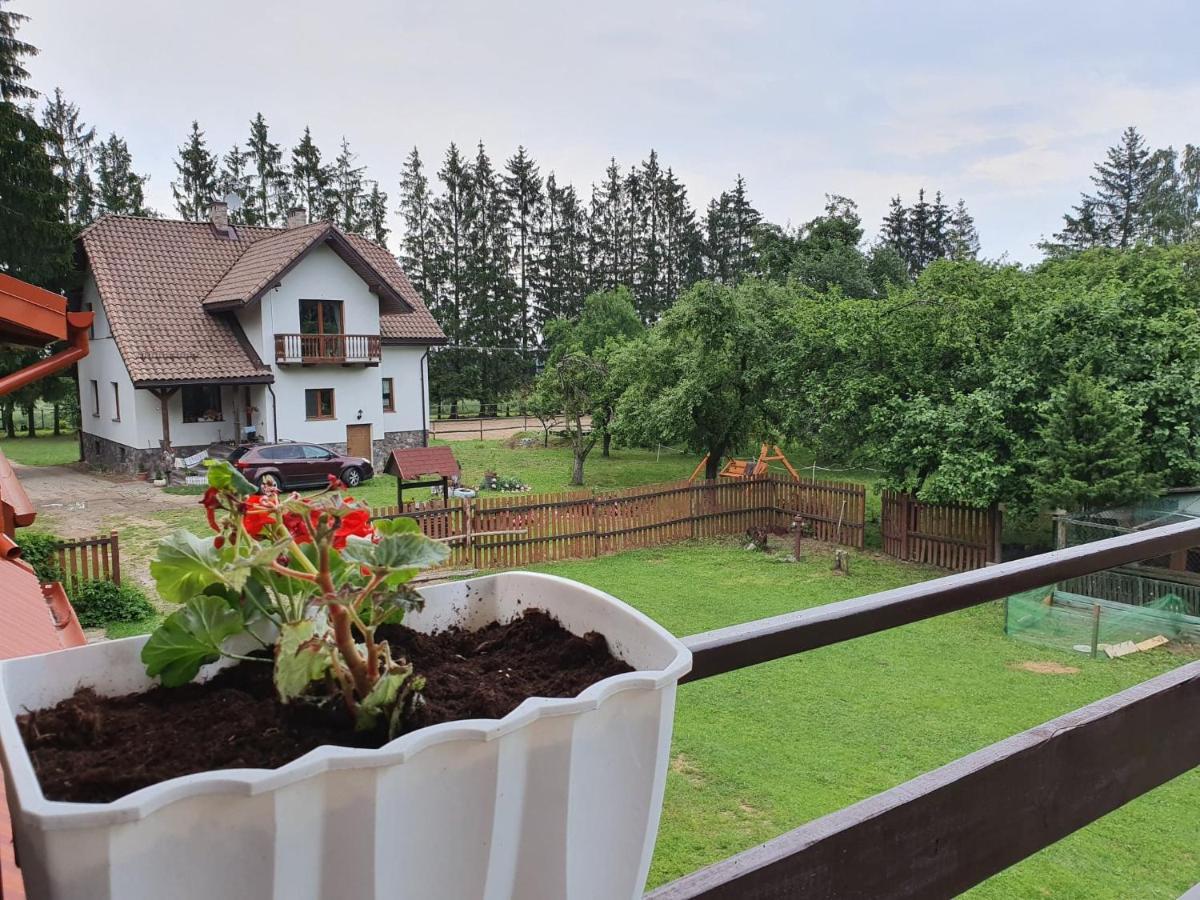 Kurnik Polski Agroturystyka Tykocin Ngoại thất bức ảnh