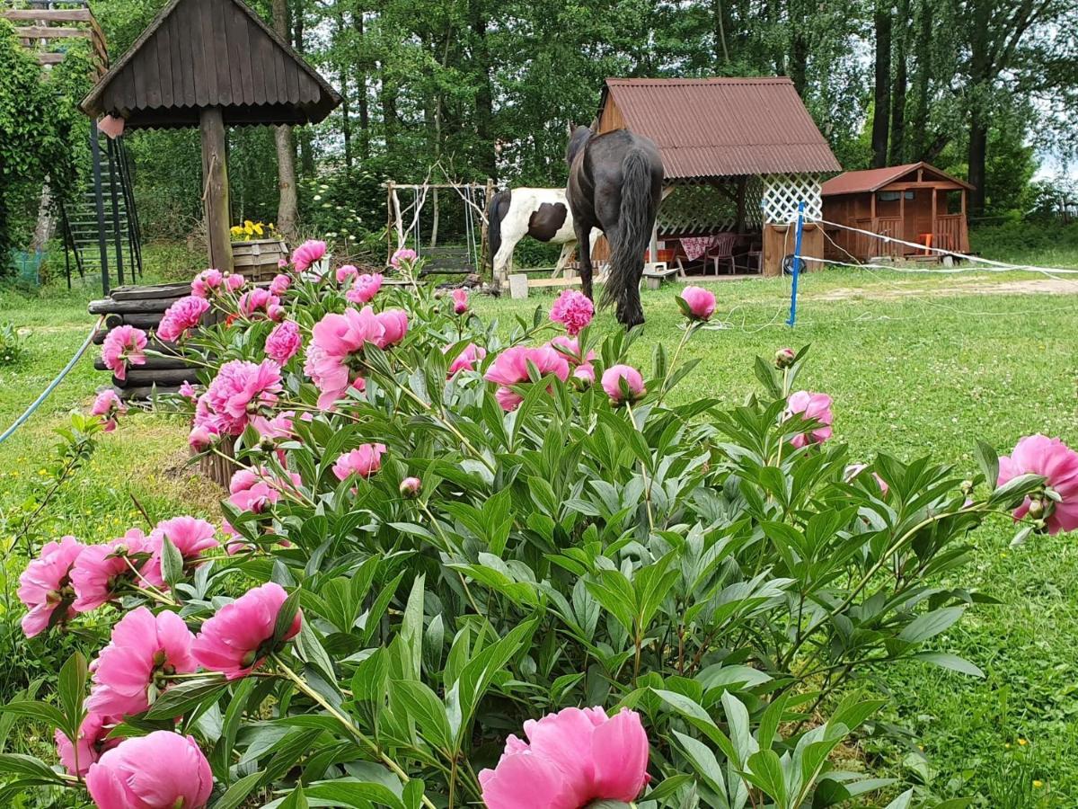Kurnik Polski Agroturystyka Tykocin Ngoại thất bức ảnh