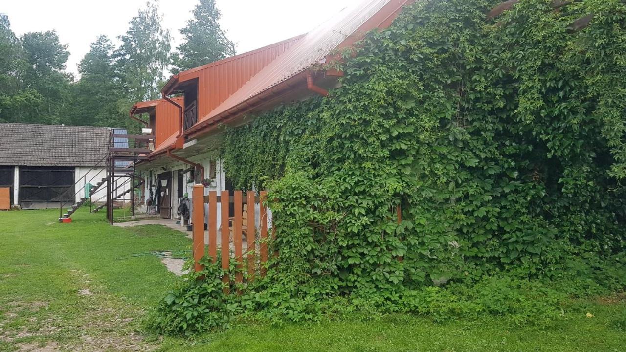 Kurnik Polski Agroturystyka Tykocin Ngoại thất bức ảnh