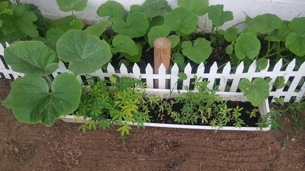 Kurnik Polski Agroturystyka Tykocin Ngoại thất bức ảnh