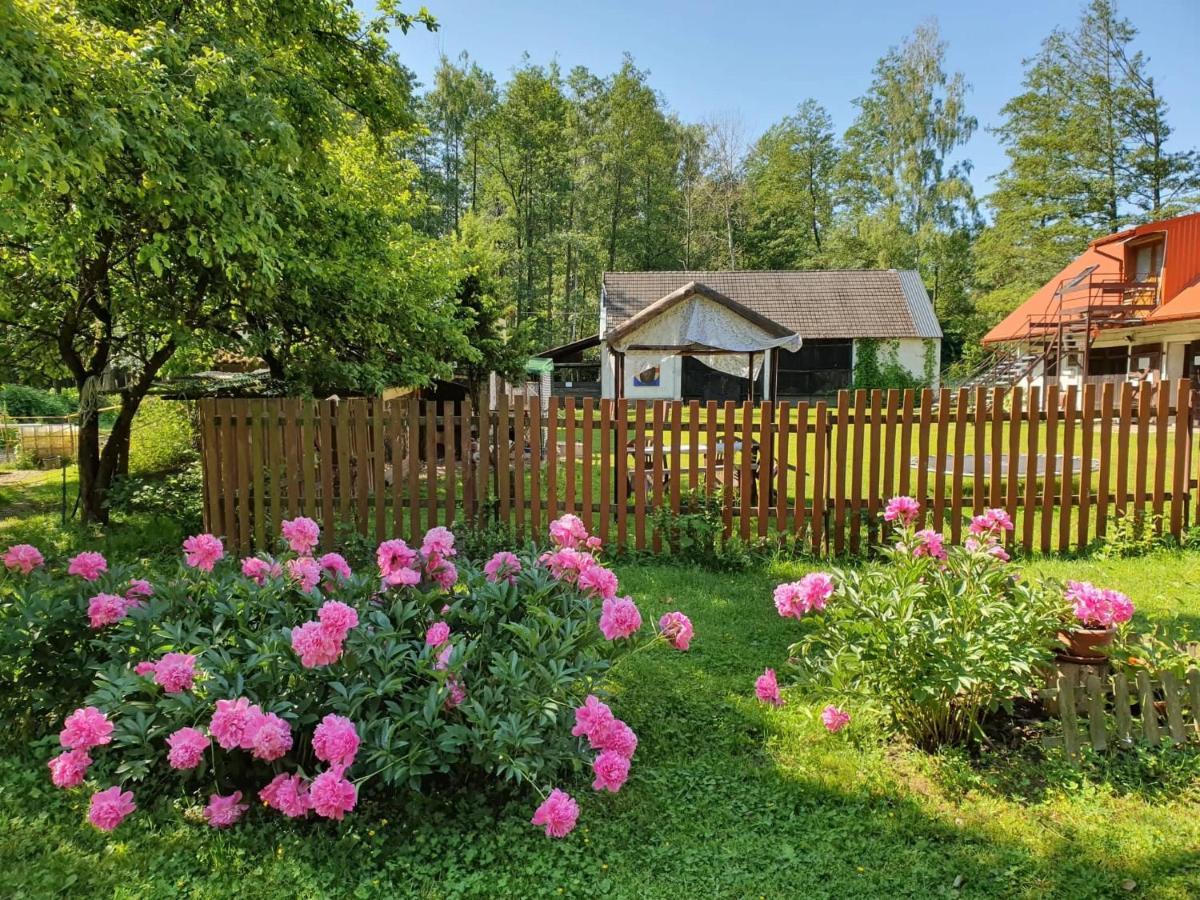 Kurnik Polski Agroturystyka Tykocin Ngoại thất bức ảnh