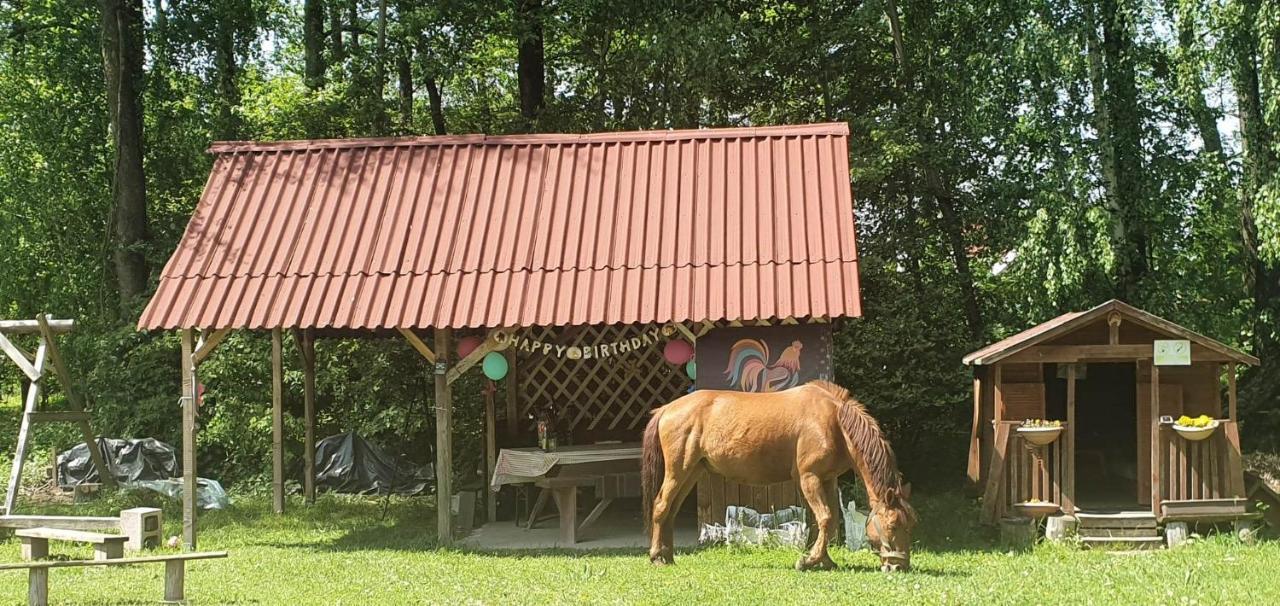 Kurnik Polski Agroturystyka Tykocin Ngoại thất bức ảnh